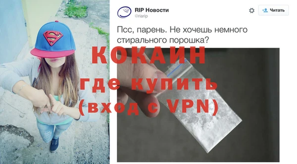 индика Богданович
