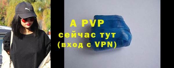 индика Богданович