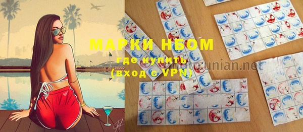 индика Богданович