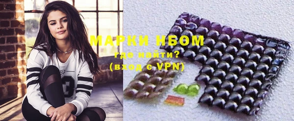 тгк Богородицк