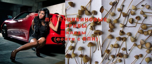 тгк Богородицк